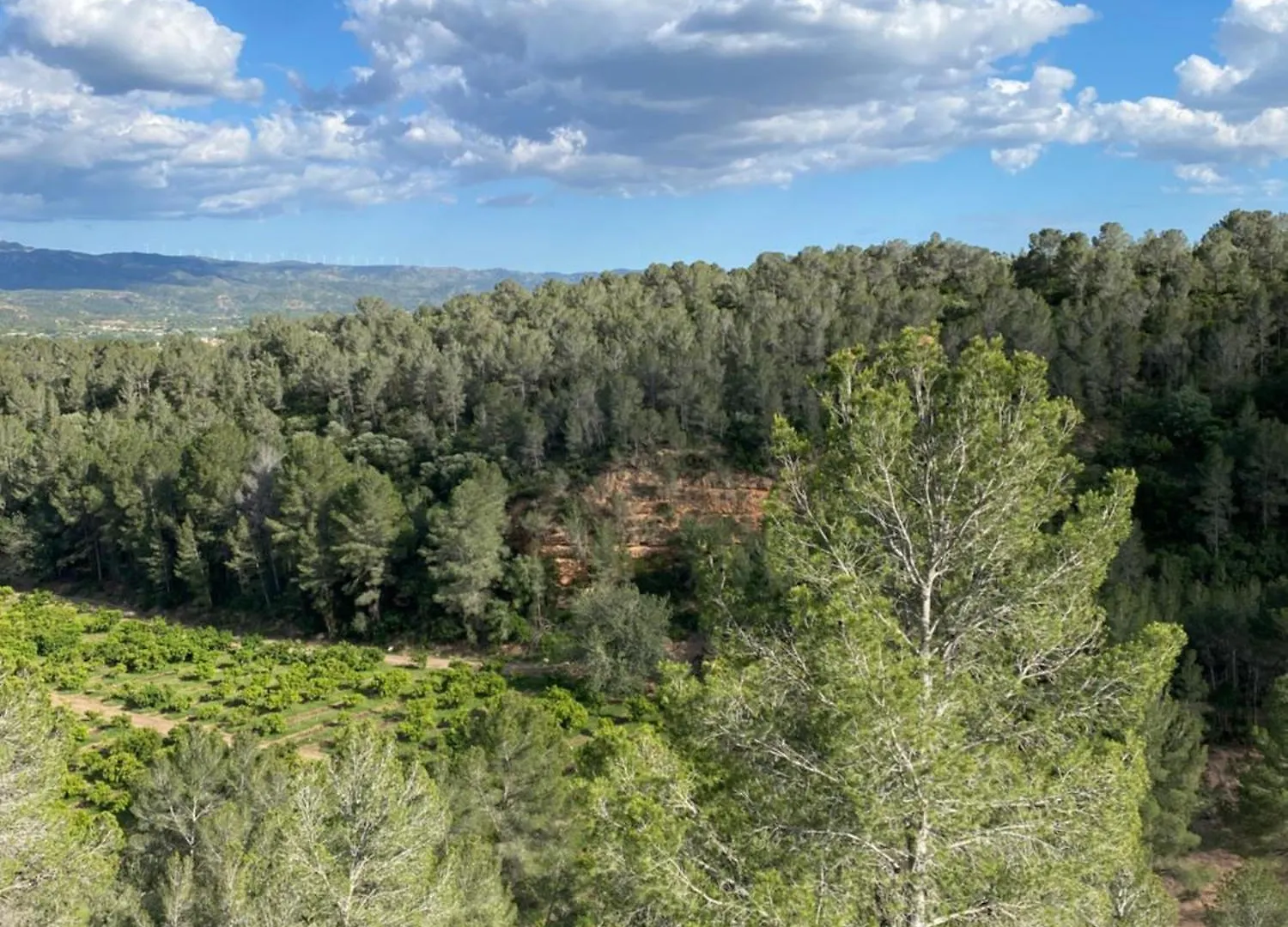 La Kolina Casa Rural Xerta Spain
